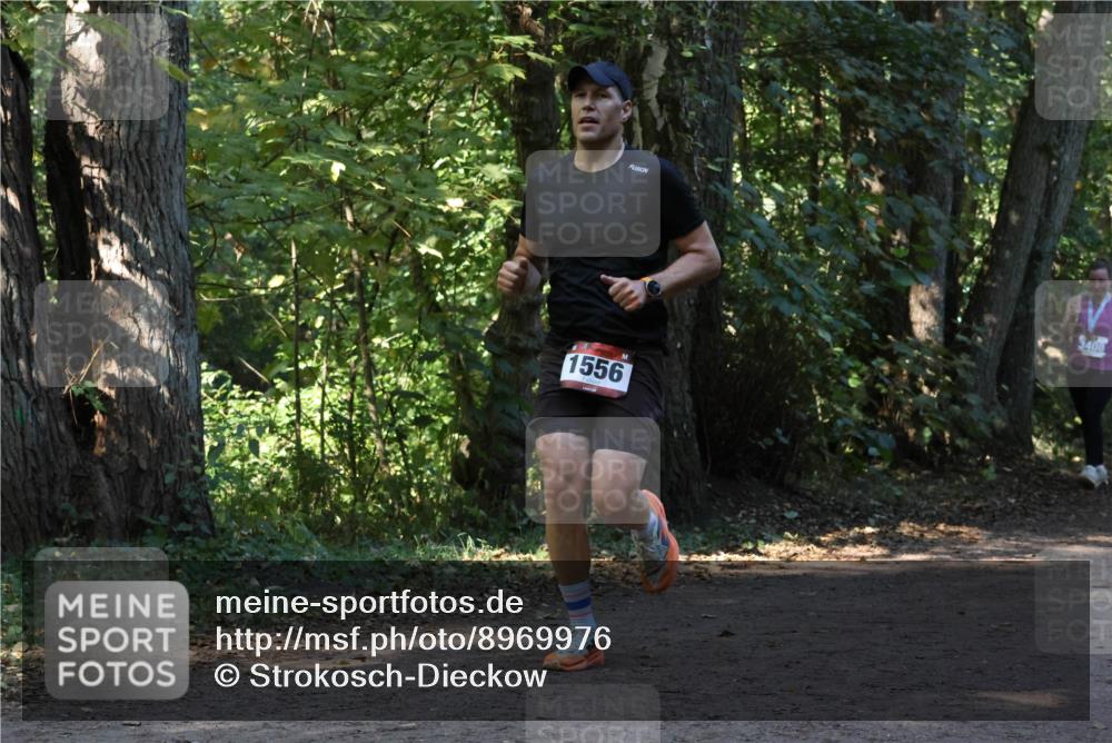 28.09.2025 - 33. Volkslauf durch das schöne Alstertal Strokosch-Dieckow http://msf.ph/oto/8969976 28.09.2025 11:39:22 Laufen 1556, 408 meine-sportfotos.de