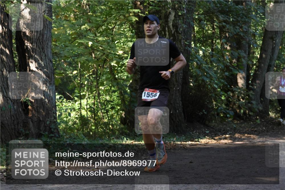 28.09.2025 - 33. Volkslauf durch das schöne Alstertal Strokosch-Dieckow http://msf.ph/oto/8969977 28.09.2025 11:39:22 Laufen 1556, 3401 meine-sportfotos.de