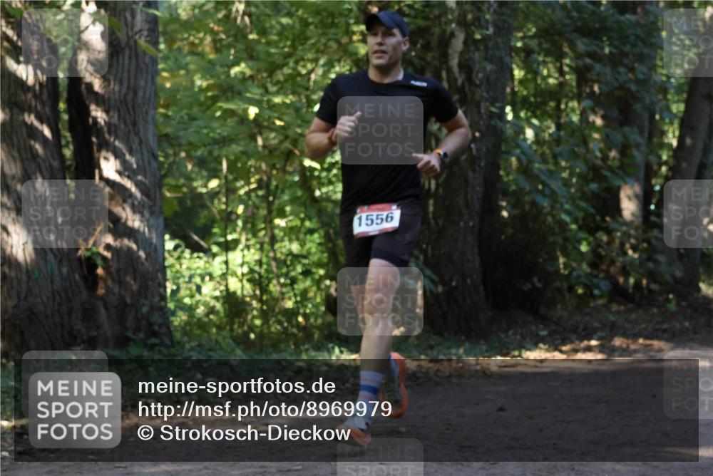 28.09.2025 - 33. Volkslauf durch das schöne Alstertal Strokosch-Dieckow http://msf.ph/oto/8969979 28.09.2025 11:39:22 Laufen 1556 meine-sportfotos.de