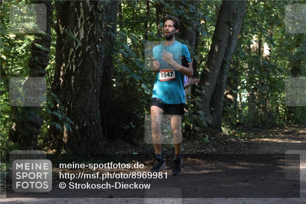 28.09.2025 - 33. Volkslauf durch das schöne Alstertal Strokosch-Dieckow http://msf.ph/oto/8969981 28.09.2025 11:39:29 Laufen 1547 meine-sportfotos.de