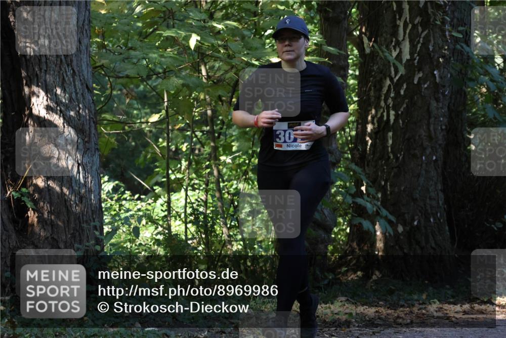 28.09.2025 - 33. Volkslauf durch das schöne Alstertal Strokosch-Dieckow http://msf.ph/oto/8969986 28.09.2025 11:39:43 Laufen 30 meine-sportfotos.de