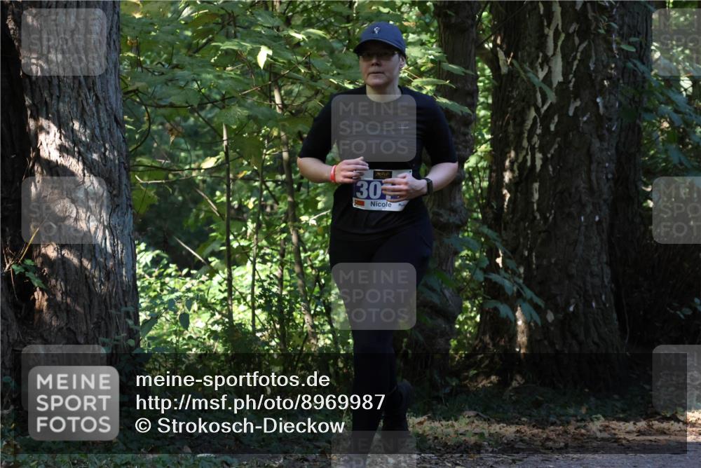28.09.2025 - 33. Volkslauf durch das schöne Alstertal Strokosch-Dieckow http://msf.ph/oto/8969987 28.09.2025 11:39:43 Laufen 30 meine-sportfotos.de