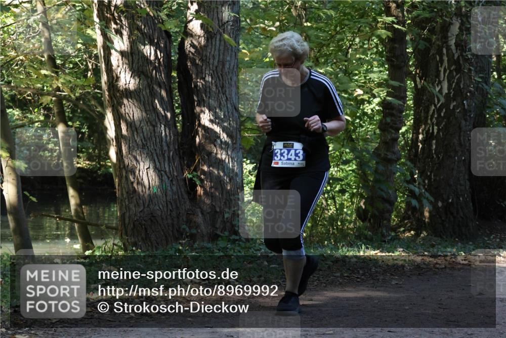 28.09.2025 - 33. Volkslauf durch das schöne Alstertal Strokosch-Dieckow http://msf.ph/oto/8969992 28.09.2025 11:39:58 Laufen 3343 meine-sportfotos.de