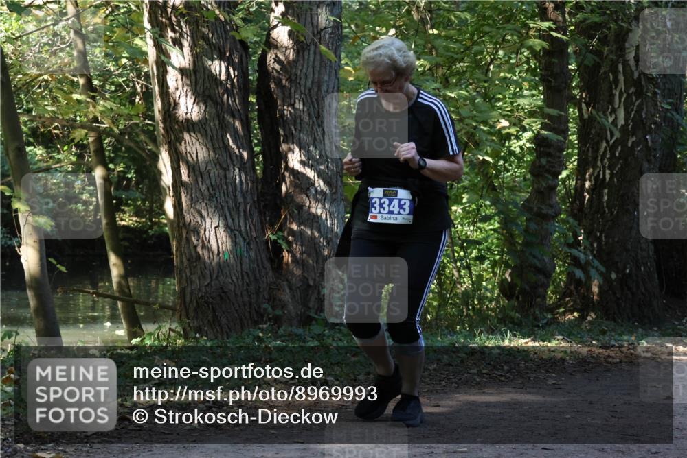 28.09.2025 - 33. Volkslauf durch das schöne Alstertal Strokosch-Dieckow http://msf.ph/oto/8969993 28.09.2025 11:39:58 Laufen 3343 meine-sportfotos.de