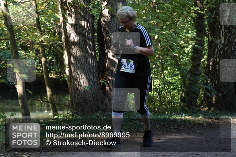 28.09.2025 - 33. Volkslauf durch das schöne Alstertal Strokosch-Dieckow http://msf.ph/oto/8969995 28.09.2025 11:39:59 Laufen 3343 meine-sportfotos.de