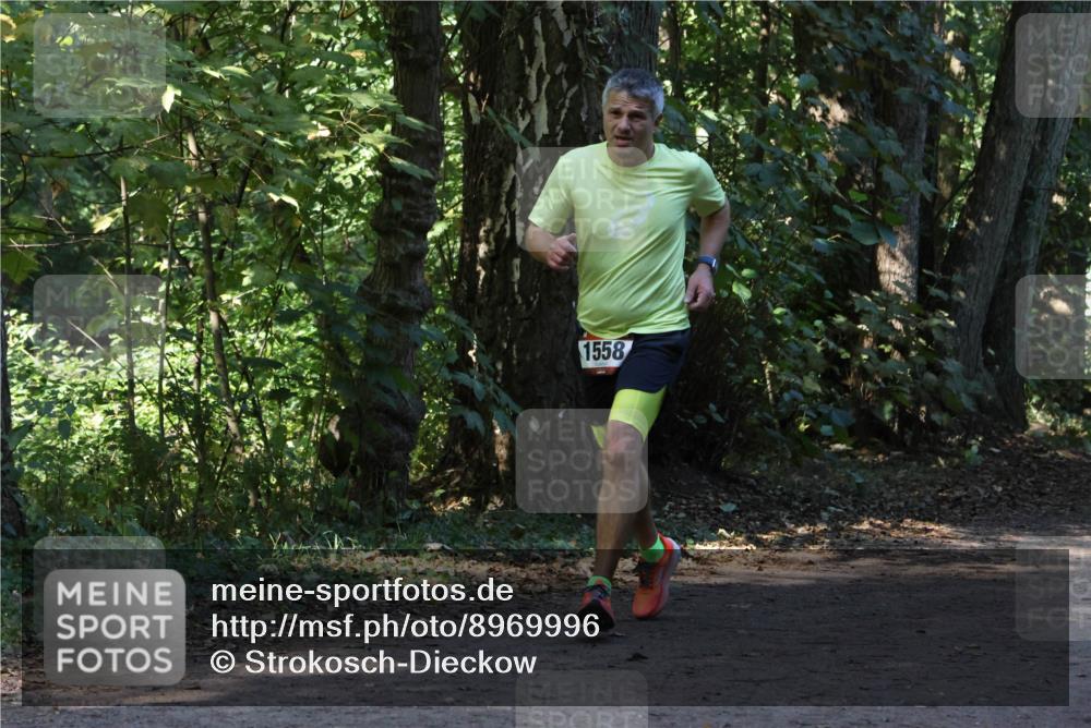 28.09.2025 - 33. Volkslauf durch das schöne Alstertal Strokosch-Dieckow http://msf.ph/oto/8969996 28.09.2025 11:40:02 Laufen 1558 meine-sportfotos.de