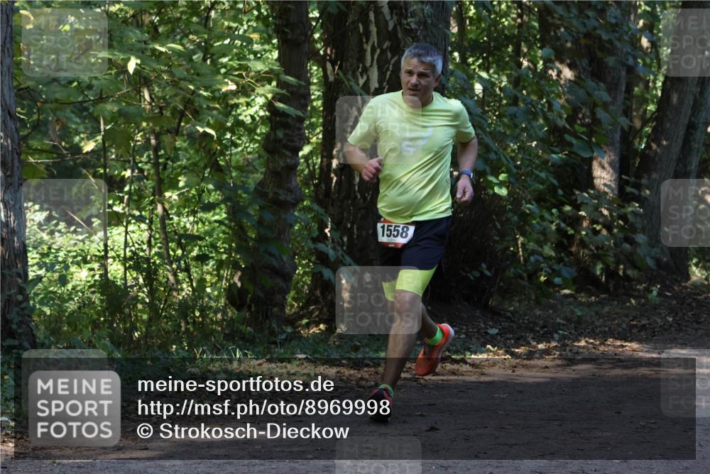 28.09.2025 - 33. Volkslauf durch das schöne Alstertal Strokosch-Dieckow http://msf.ph/oto/8969998 28.09.2025 11:40:02 Laufen 1558 meine-sportfotos.de