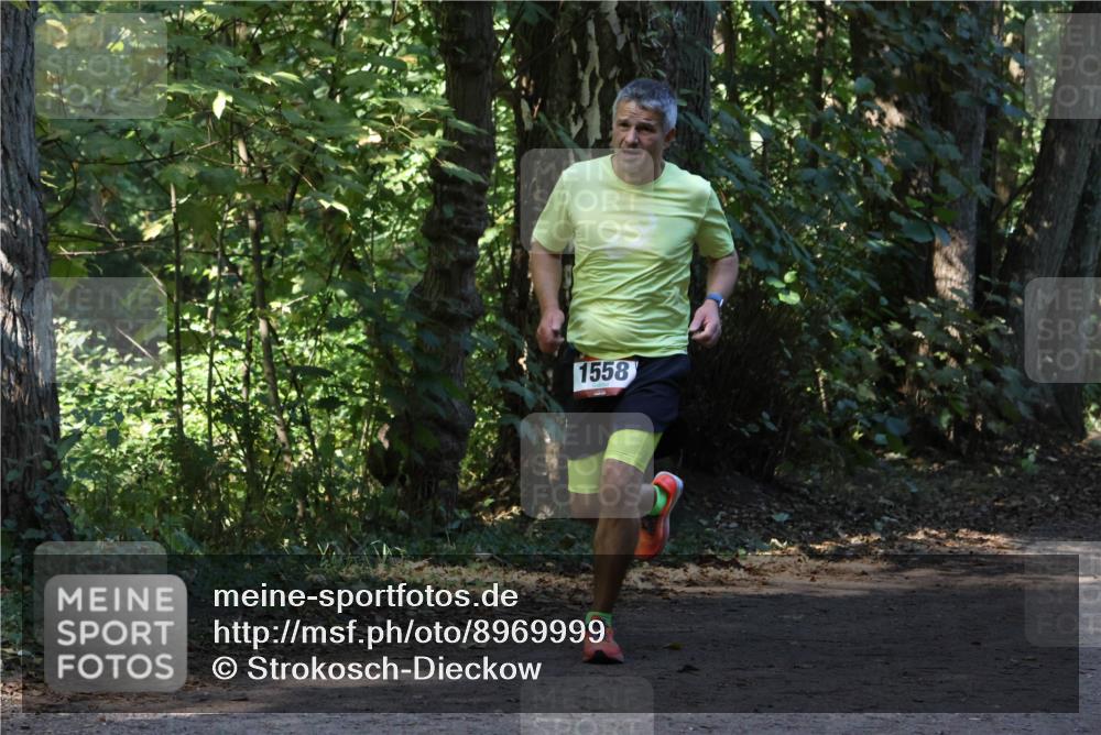 28.09.2025 - 33. Volkslauf durch das schöne Alstertal Strokosch-Dieckow http://msf.ph/oto/8969999 28.09.2025 11:40:02 Laufen 1558 meine-sportfotos.de