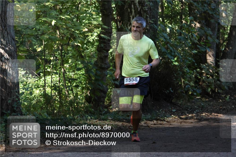 28.09.2025 - 33. Volkslauf durch das schöne Alstertal Strokosch-Dieckow http://msf.ph/oto/8970000 28.09.2025 11:40:02 Laufen 1558 meine-sportfotos.de