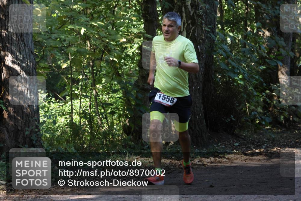 28.09.2025 - 33. Volkslauf durch das schöne Alstertal Strokosch-Dieckow http://msf.ph/oto/8970002 28.09.2025 11:40:02 Laufen 1558 meine-sportfotos.de