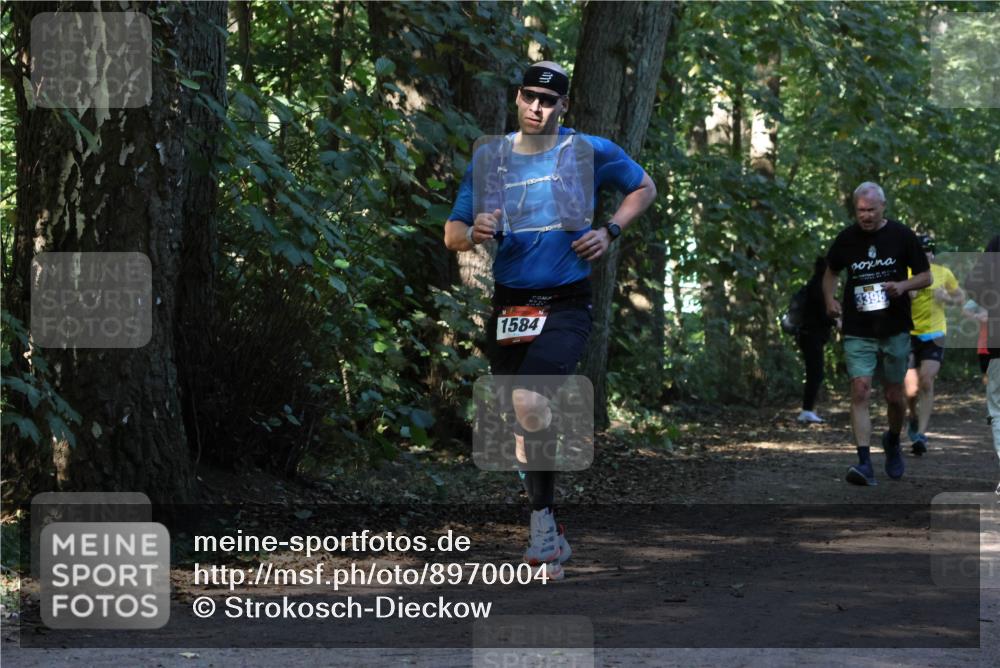 28.09.2025 - 33. Volkslauf durch das schöne Alstertal Strokosch-Dieckow http://msf.ph/oto/8970004 28.09.2025 11:40:05 Laufen 3, 1584, 3398 meine-sportfotos.de