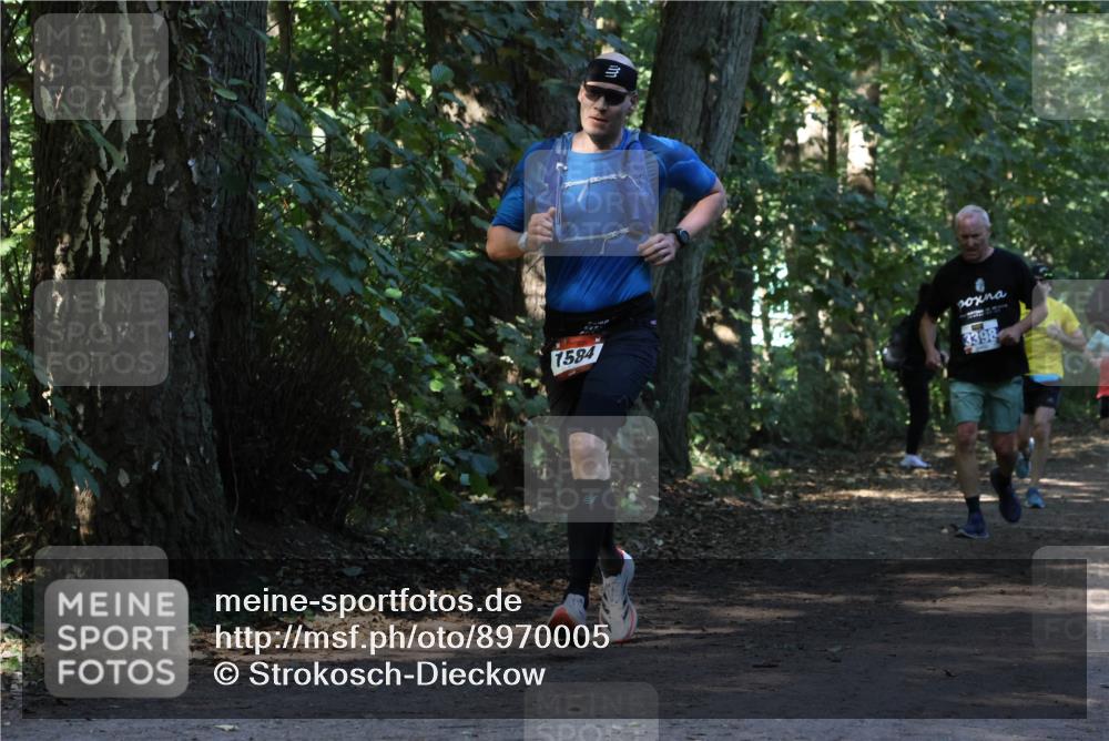 28.09.2025 - 33. Volkslauf durch das schöne Alstertal Strokosch-Dieckow http://msf.ph/oto/8970005 28.09.2025 11:40:05 Laufen 1584, 3398 meine-sportfotos.de