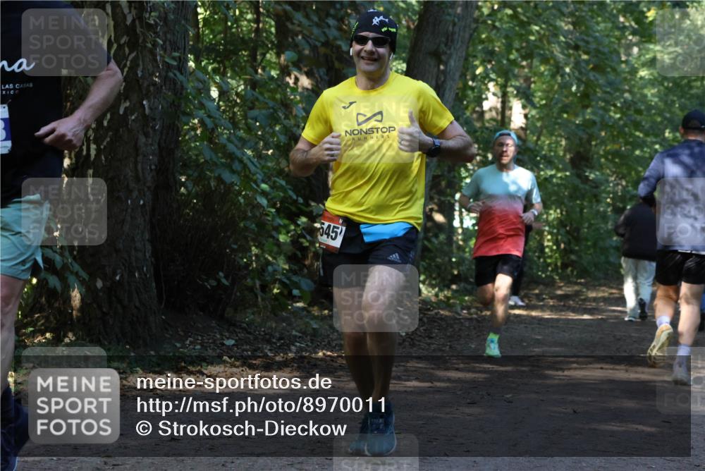 28.09.2025 - 33. Volkslauf durch das schöne Alstertal Strokosch-Dieckow http://msf.ph/oto/8970011 28.09.2025 11:40:12 Laufen 645 meine-sportfotos.de