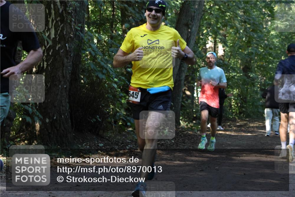 28.09.2025 - 33. Volkslauf durch das schöne Alstertal Strokosch-Dieckow http://msf.ph/oto/8970013 28.09.2025 11:40:12 Laufen 545 meine-sportfotos.de