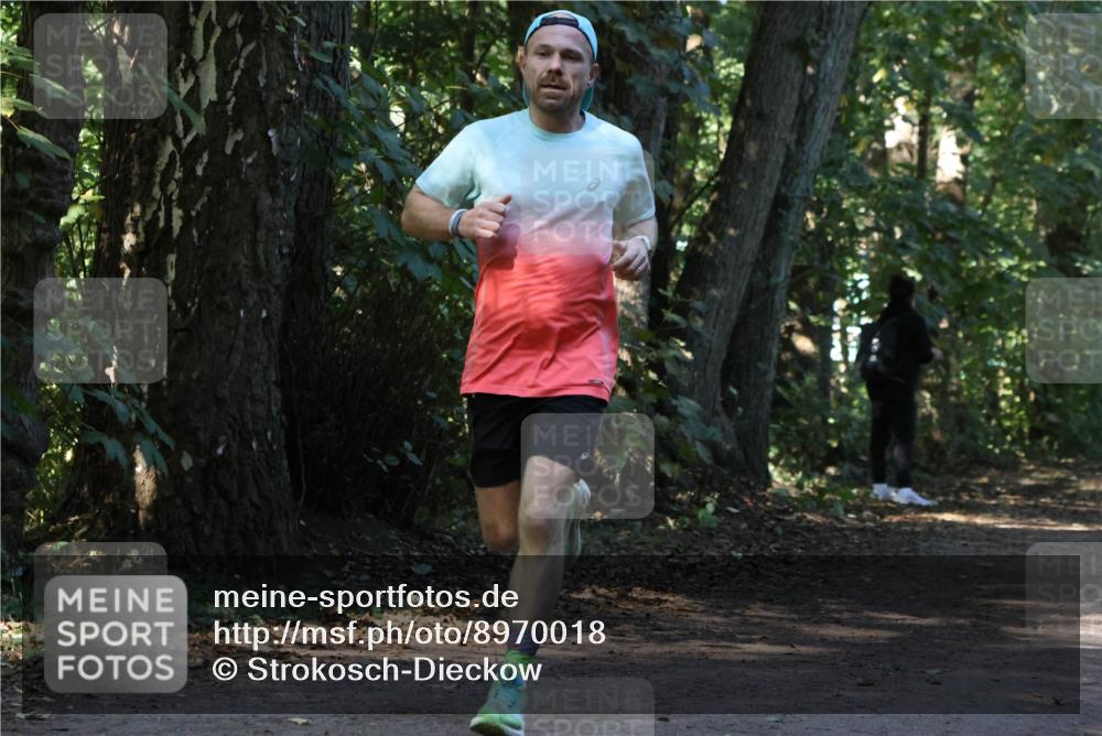 28.09.2025 - 33. Volkslauf durch das schöne Alstertal Strokosch-Dieckow http://msf.ph/oto/8970018 28.09.2025 11:40:14 Laufen  meine-sportfotos.de