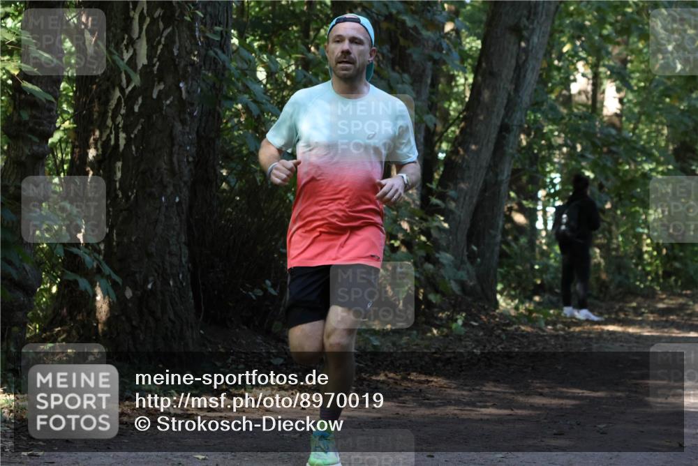 28.09.2025 - 33. Volkslauf durch das schöne Alstertal Strokosch-Dieckow http://msf.ph/oto/8970019 28.09.2025 11:40:14 Laufen 27 meine-sportfotos.de