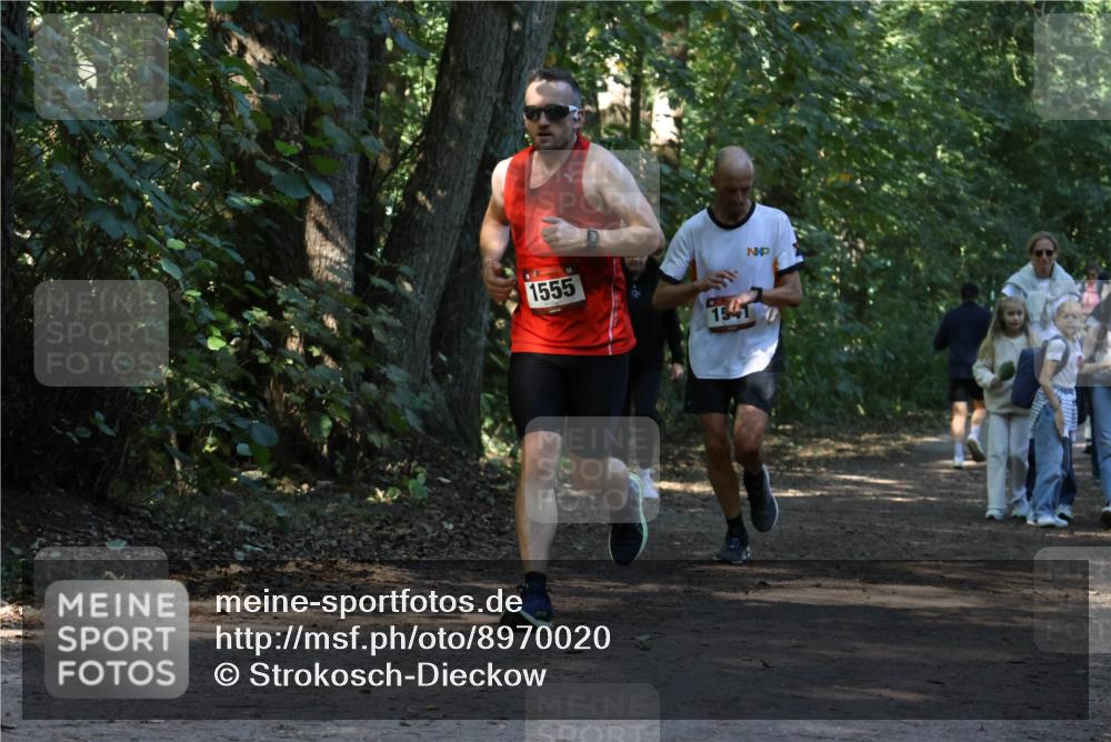 28.09.2025 - 33. Volkslauf durch das schöne Alstertal Strokosch-Dieckow http://msf.ph/oto/8970020 28.09.2025 11:40:22 Laufen 1555, 154 meine-sportfotos.de