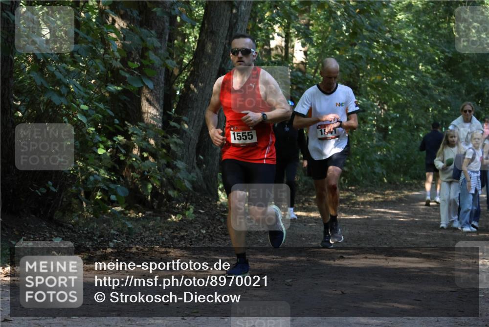 28.09.2025 - 33. Volkslauf durch das schöne Alstertal Strokosch-Dieckow http://msf.ph/oto/8970021 28.09.2025 11:40:22 Laufen 1555, 1541 meine-sportfotos.de