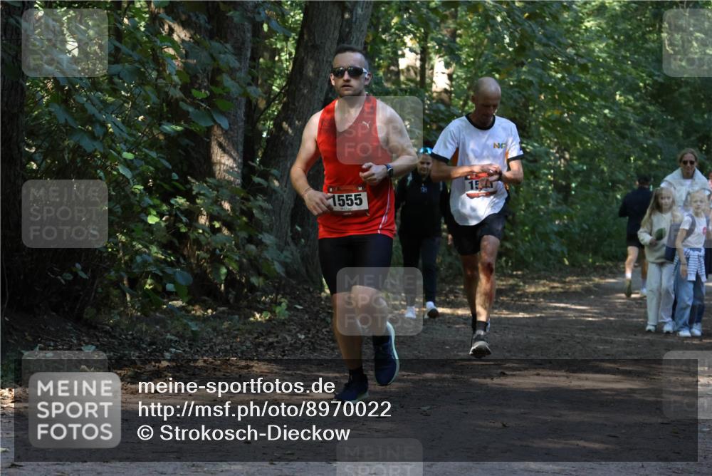 28.09.2025 - 33. Volkslauf durch das schöne Alstertal Strokosch-Dieckow http://msf.ph/oto/8970022 28.09.2025 11:40:22 Laufen 1555, 15 meine-sportfotos.de