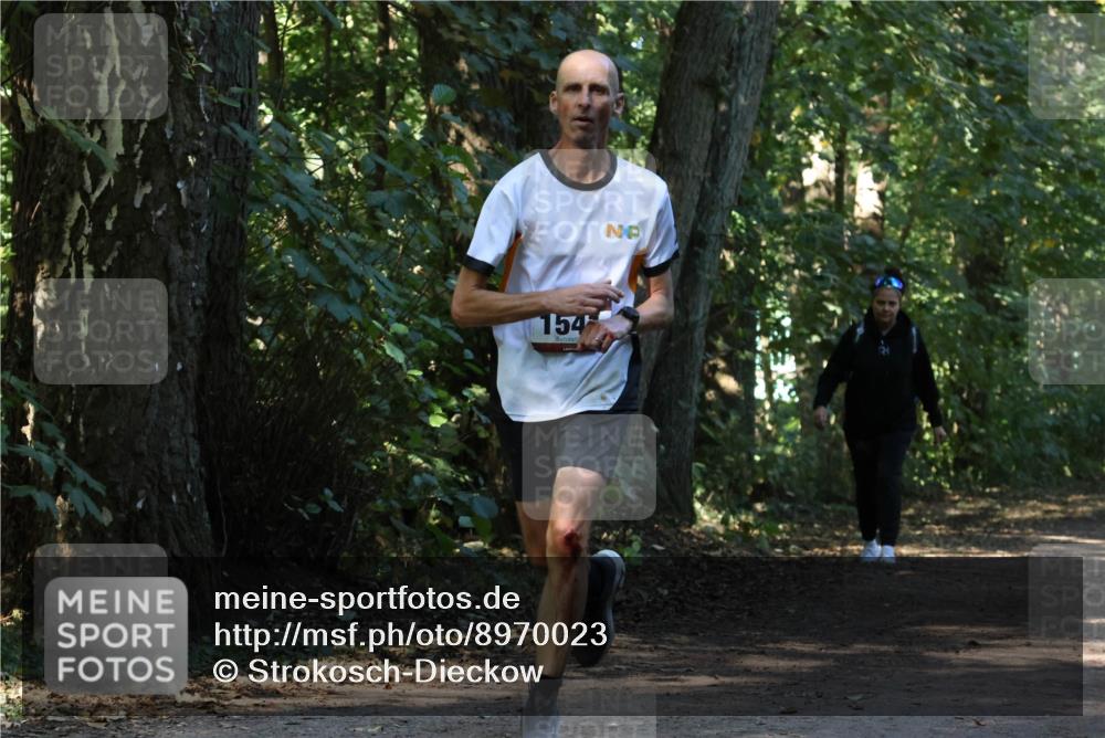 28.09.2025 - 33. Volkslauf durch das schöne Alstertal Strokosch-Dieckow http://msf.ph/oto/8970023 28.09.2025 11:40:24 Laufen 154 meine-sportfotos.de