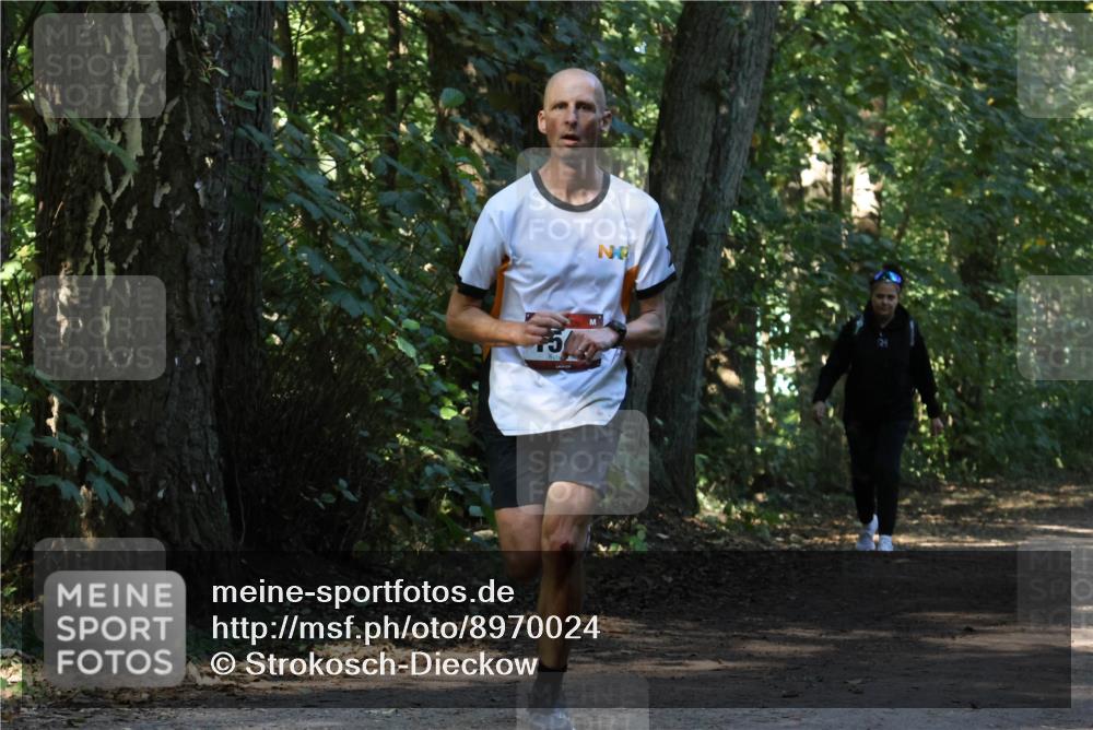 28.09.2025 - 33. Volkslauf durch das schöne Alstertal Strokosch-Dieckow http://msf.ph/oto/8970024 28.09.2025 11:40:24 Laufen  meine-sportfotos.de