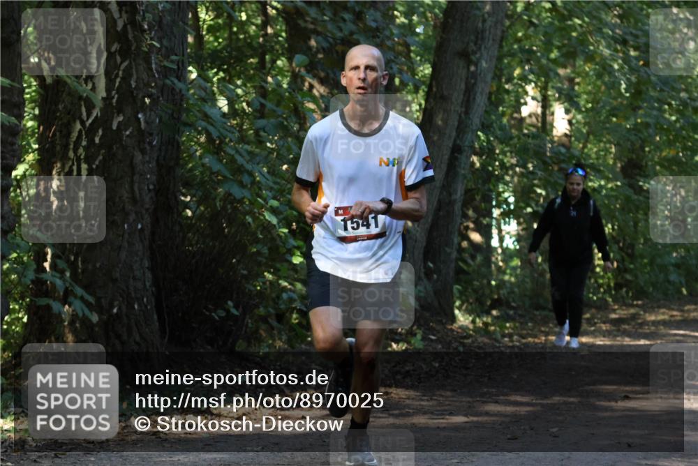 28.09.2025 - 33. Volkslauf durch das schöne Alstertal Strokosch-Dieckow http://msf.ph/oto/8970025 28.09.2025 11:40:24 Laufen 1541 meine-sportfotos.de