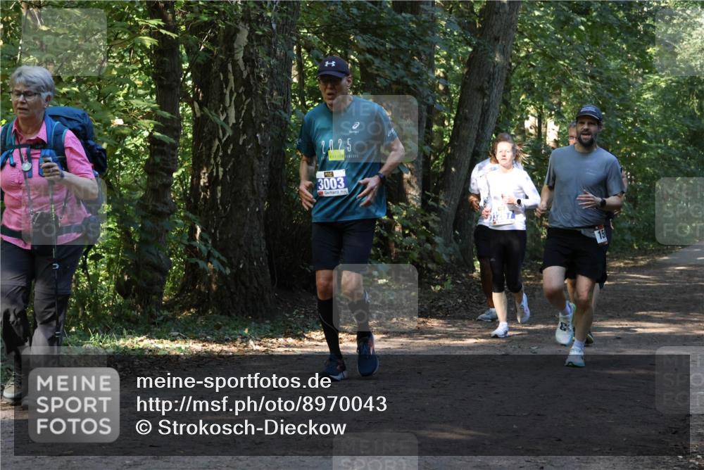 28.09.2025 - 33. Volkslauf durch das schöne Alstertal Strokosch-Dieckow http://msf.ph/oto/8970043 28.09.2025 11:41:12 Laufen 2025, 3003, 15 meine-sportfotos.de