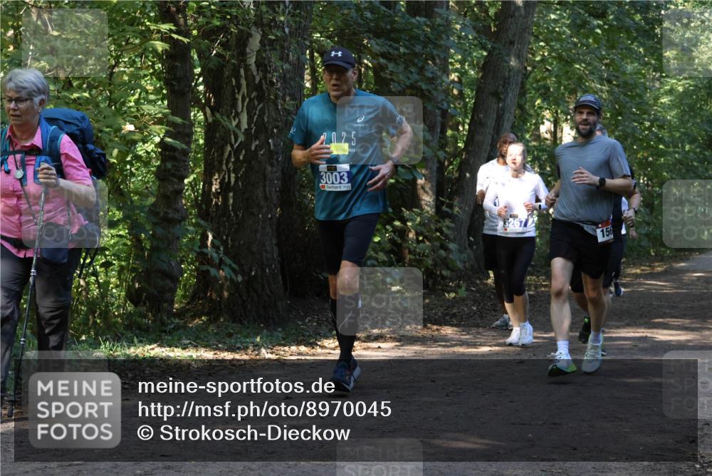 28.09.2025 - 33. Volkslauf durch das schöne Alstertal Strokosch-Dieckow http://msf.ph/oto/8970045 28.09.2025 11:41:13 Laufen 2025, 3003, 15 meine-sportfotos.de