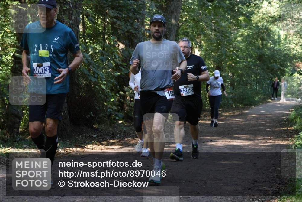28.09.2025 - 33. Volkslauf durch das schöne Alstertal Strokosch-Dieckow http://msf.ph/oto/8970046 28.09.2025 11:41:13 Laufen 2025, 3003, 156, 3268 meine-sportfotos.de