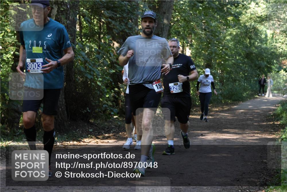 28.09.2025 - 33. Volkslauf durch das schöne Alstertal Strokosch-Dieckow http://msf.ph/oto/8970048 28.09.2025 11:41:14 Laufen 2025, 3003, 156, 3268, 3323 meine-sportfotos.de
