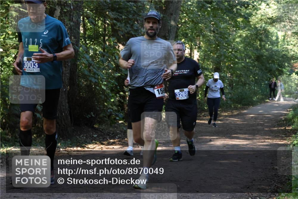 28.09.2025 - 33. Volkslauf durch das schöne Alstertal Strokosch-Dieckow http://msf.ph/oto/8970049 28.09.2025 11:41:14 Laufen 2, 025, 3003, 156, 3268 meine-sportfotos.de
