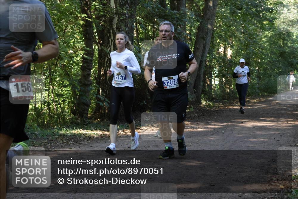 28.09.2025 - 33. Volkslauf durch das schöne Alstertal Strokosch-Dieckow http://msf.ph/oto/8970051 28.09.2025 11:41:15 Laufen 156, 3267, 2023, 3268 meine-sportfotos.de