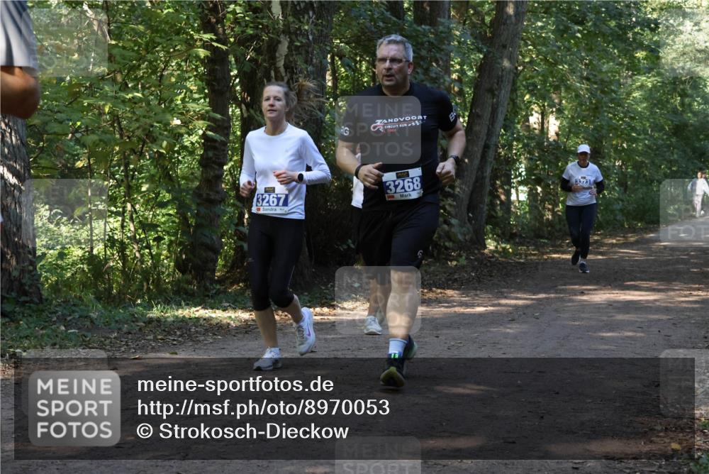 28.09.2025 - 33. Volkslauf durch das schöne Alstertal Strokosch-Dieckow http://msf.ph/oto/8970053 28.09.2025 11:41:15 Laufen 2023, 3267, 4, 3268 meine-sportfotos.de