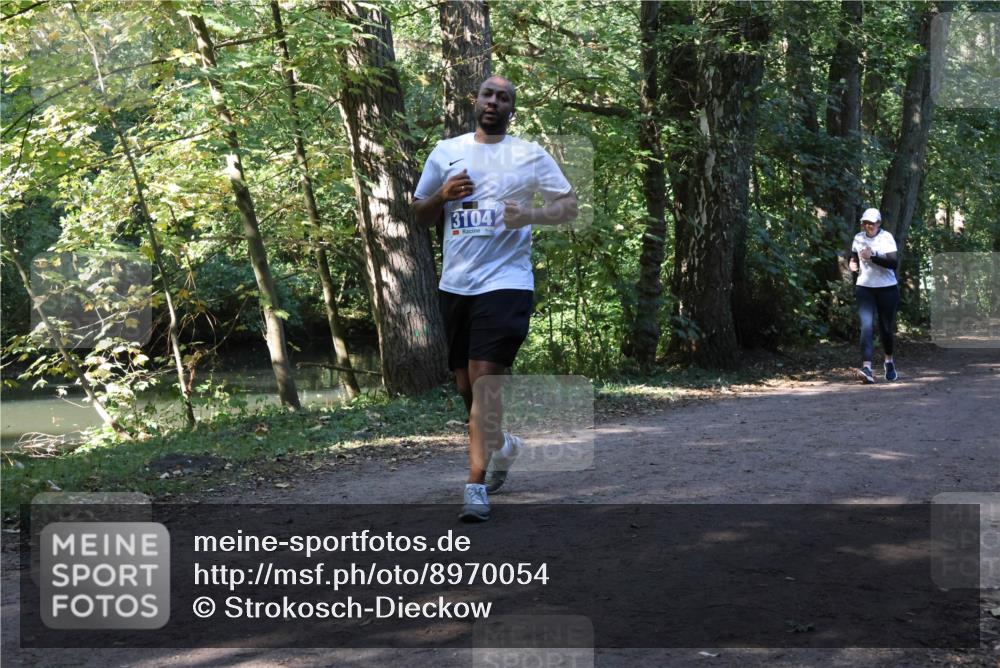 28.09.2025 - 33. Volkslauf durch das schöne Alstertal Strokosch-Dieckow http://msf.ph/oto/8970054 28.09.2025 11:41:18 Laufen 3104 meine-sportfotos.de