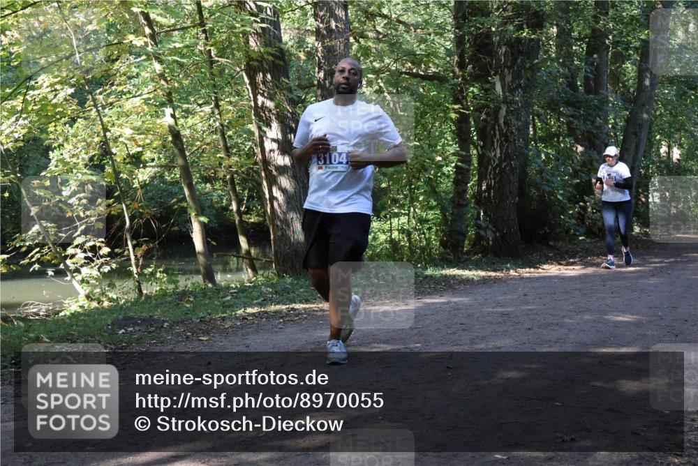 28.09.2025 - 33. Volkslauf durch das schöne Alstertal Strokosch-Dieckow http://msf.ph/oto/8970055 28.09.2025 11:41:19 Laufen 3104 meine-sportfotos.de