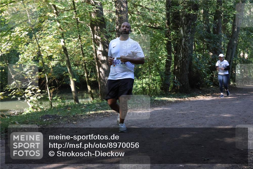 28.09.2025 - 33. Volkslauf durch das schöne Alstertal Strokosch-Dieckow http://msf.ph/oto/8970056 28.09.2025 11:41:19 Laufen 310, 3323 meine-sportfotos.de
