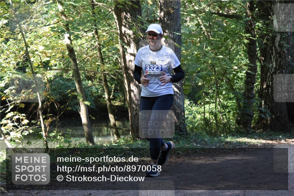 28.09.2025 - 33. Volkslauf durch das schöne Alstertal Strokosch-Dieckow http://msf.ph/oto/8970058 28.09.2025 11:41:22 Laufen 3323 meine-sportfotos.de