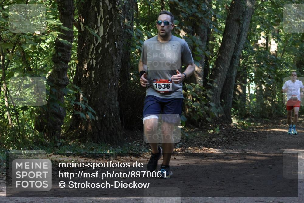 28.09.2025 - 33. Volkslauf durch das schöne Alstertal Strokosch-Dieckow http://msf.ph/oto/8970061 28.09.2025 11:41:39 Laufen 1536, 1859 meine-sportfotos.de