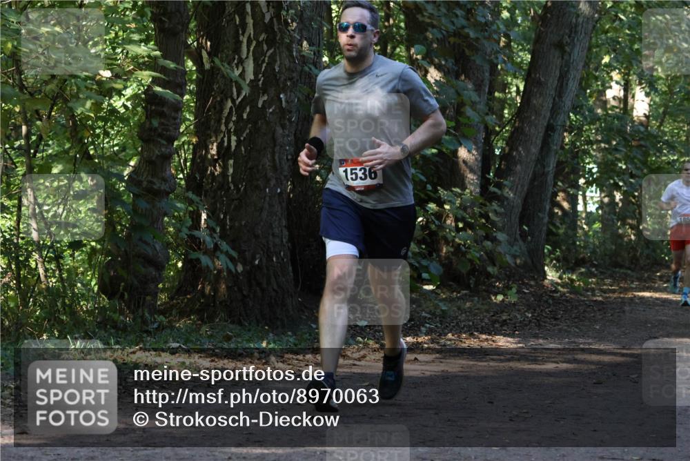 28.09.2025 - 33. Volkslauf durch das schöne Alstertal Strokosch-Dieckow http://msf.ph/oto/8970063 28.09.2025 11:41:39 Laufen 1536 meine-sportfotos.de