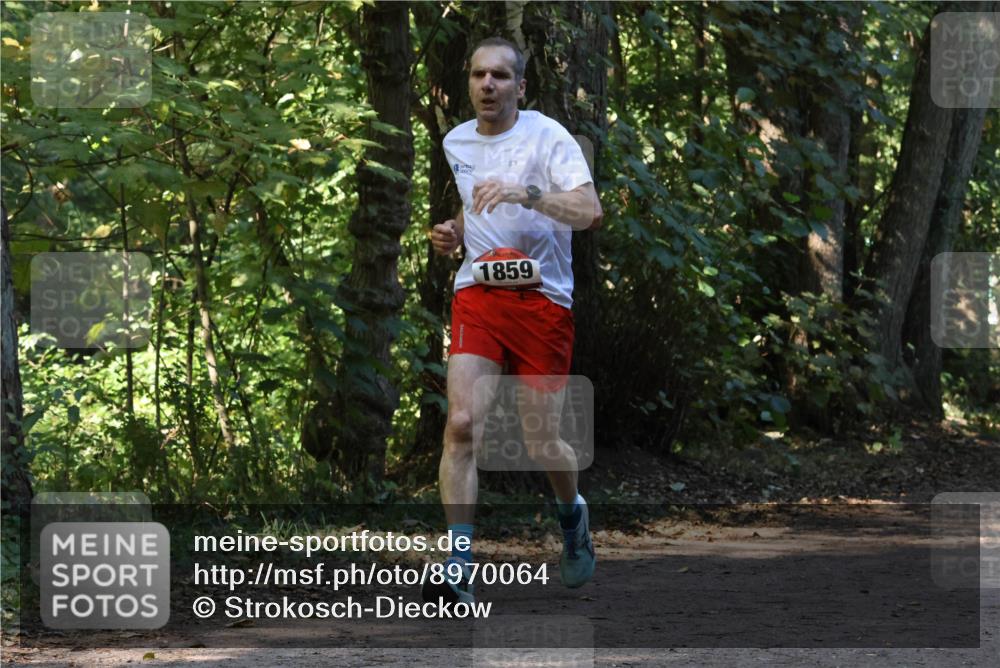 28.09.2025 - 33. Volkslauf durch das schöne Alstertal Strokosch-Dieckow http://msf.ph/oto/8970064 28.09.2025 11:41:45 Laufen 1859 meine-sportfotos.de