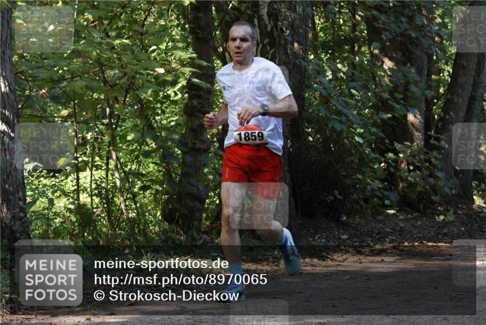 28.09.2025 - 33. Volkslauf durch das schöne Alstertal Strokosch-Dieckow http://msf.ph/oto/8970065 28.09.2025 11:41:45 Laufen 1859 meine-sportfotos.de