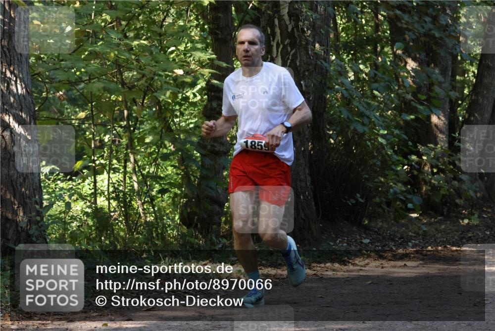 28.09.2025 - 33. Volkslauf durch das schöne Alstertal Strokosch-Dieckow http://msf.ph/oto/8970066 28.09.2025 11:41:45 Laufen 1859 meine-sportfotos.de