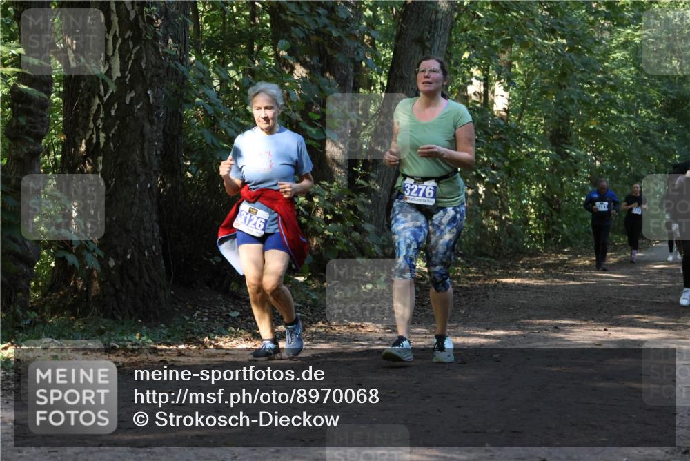 28.09.2025 - 33. Volkslauf durch das schöne Alstertal Strokosch-Dieckow http://msf.ph/oto/8970068 28.09.2025 11:41:57 Laufen 3126, 3276 meine-sportfotos.de