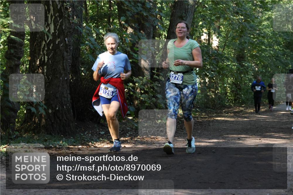 28.09.2025 - 33. Volkslauf durch das schöne Alstertal Strokosch-Dieckow http://msf.ph/oto/8970069 28.09.2025 11:41:58 Laufen 3126, 3276, 3281 meine-sportfotos.de