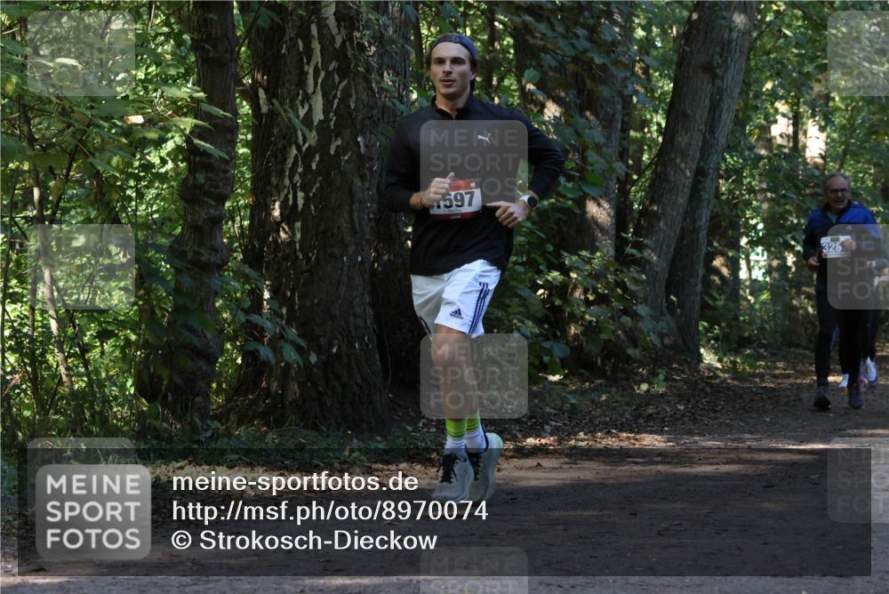 28.09.2025 - 33. Volkslauf durch das schöne Alstertal Strokosch-Dieckow http://msf.ph/oto/8970074 28.09.2025 11:42:06 Laufen 597, 326 meine-sportfotos.de