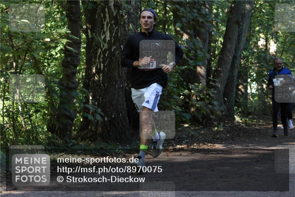 28.09.2025 - 33. Volkslauf durch das schöne Alstertal Strokosch-Dieckow http://msf.ph/oto/8970075 28.09.2025 11:42:06 Laufen 328 meine-sportfotos.de