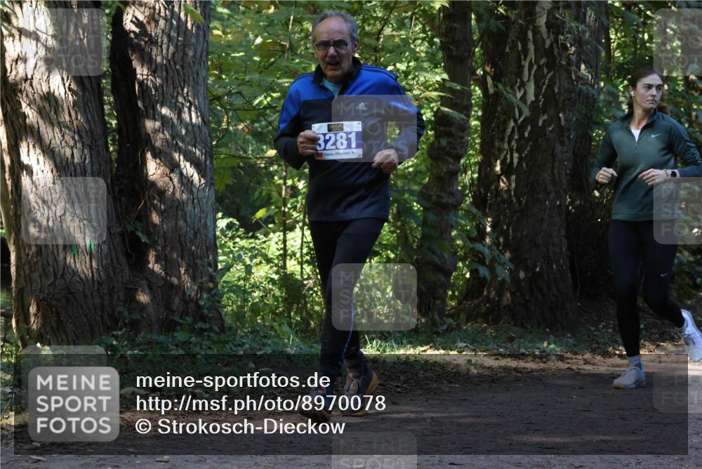 28.09.2025 - 33. Volkslauf durch das schöne Alstertal Strokosch-Dieckow http://msf.ph/oto/8970078 28.09.2025 11:42:12 Laufen 3281 meine-sportfotos.de