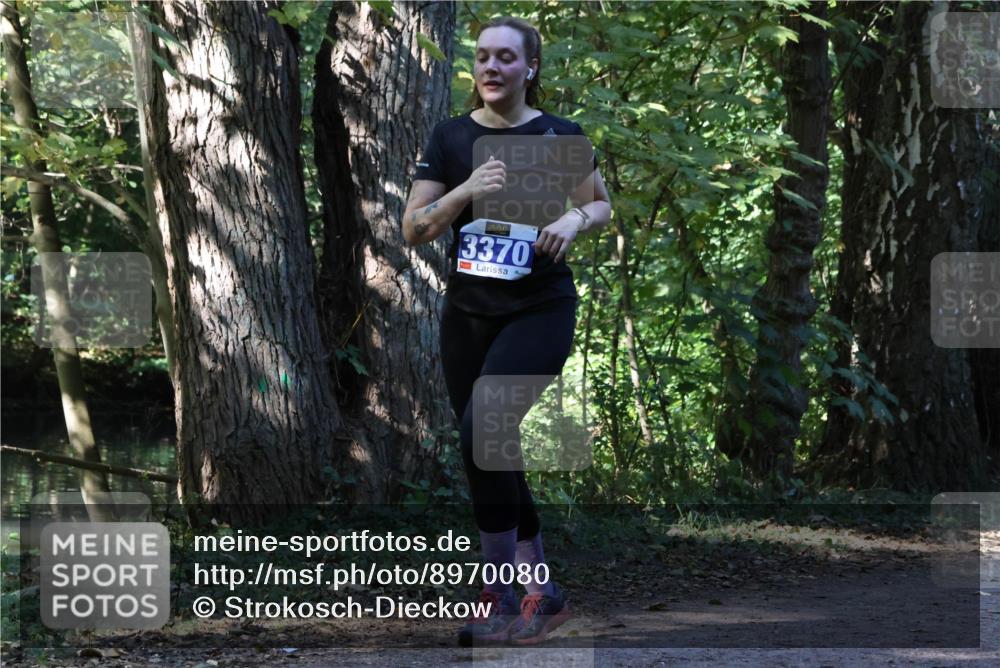 28.09.2025 - 33. Volkslauf durch das schöne Alstertal Strokosch-Dieckow http://msf.ph/oto/8970080 28.09.2025 11:42:16 Laufen 3370 meine-sportfotos.de