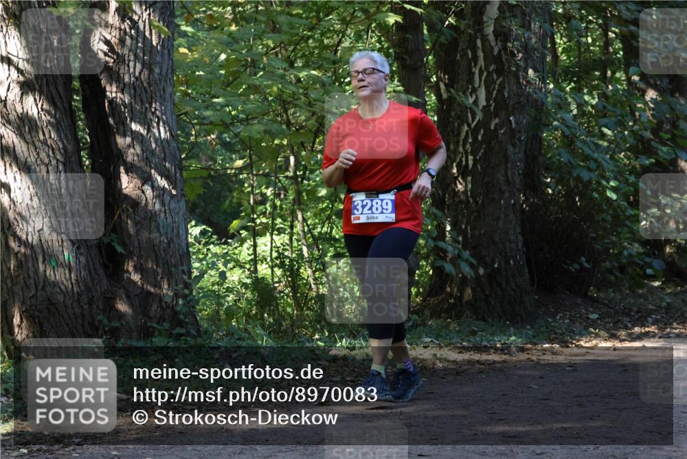 28.09.2025 - 33. Volkslauf durch das schöne Alstertal Strokosch-Dieckow http://msf.ph/oto/8970083 28.09.2025 11:42:27 Laufen 3289 meine-sportfotos.de
