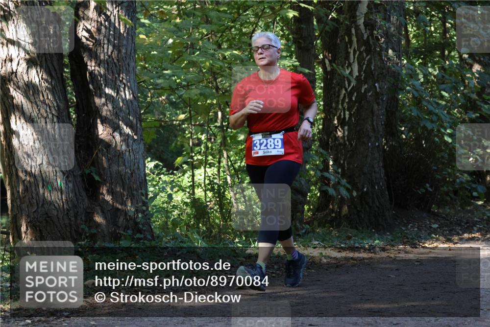 28.09.2025 - 33. Volkslauf durch das schöne Alstertal Strokosch-Dieckow http://msf.ph/oto/8970084 28.09.2025 11:42:27 Laufen 3289 meine-sportfotos.de